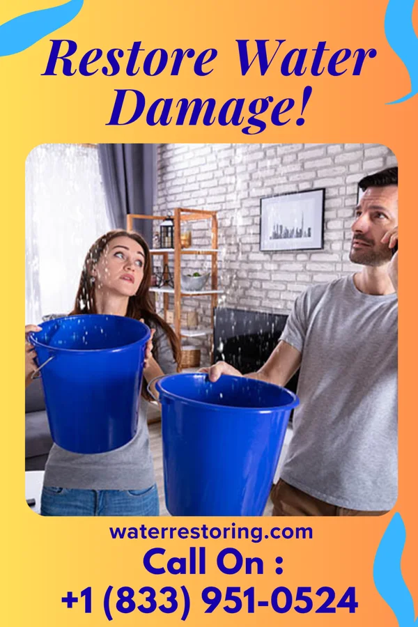 water restoration Silver Water Mitigation Group Madison